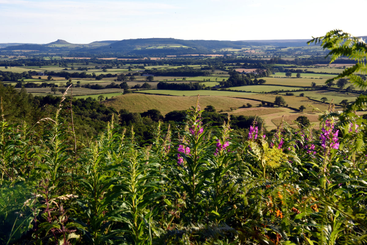 From campus, to coast and countryside
