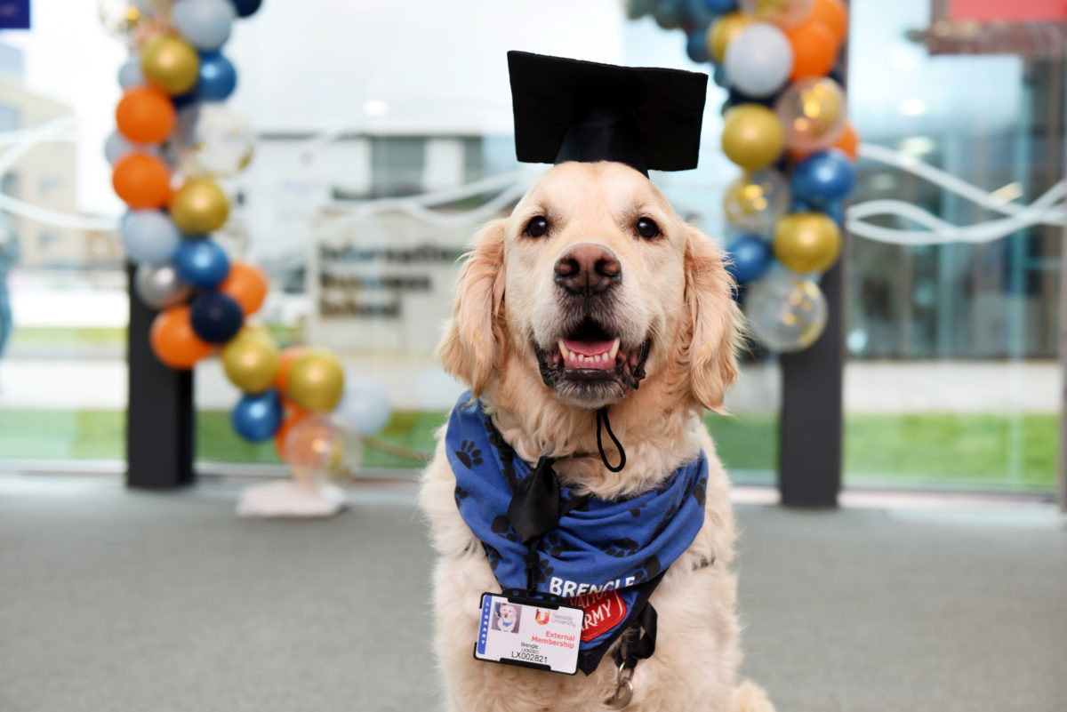 Brengle is ‘top dog’ at Teesside University